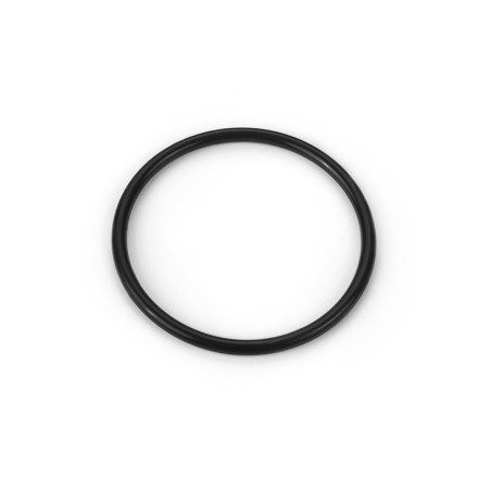 O-RING FOR VACUUM PUMP 60x4 (1) - 203060 - HUDY